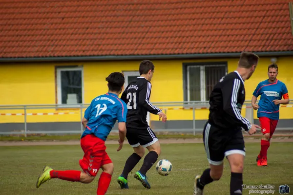 FSV 06  vs. TSV Kerspleben