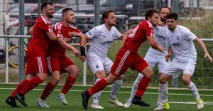 TA Artikel zum Pokalsieg