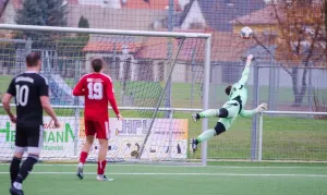 Auszug aus dem TA Artikel zum vergangenen Wochenende